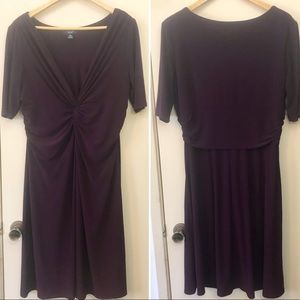 Plum Chaps Dress Size XL